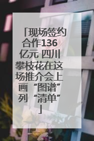 现场签约合作136亿元 四川攀枝花在这场推介会上画“图谱”列“清单”